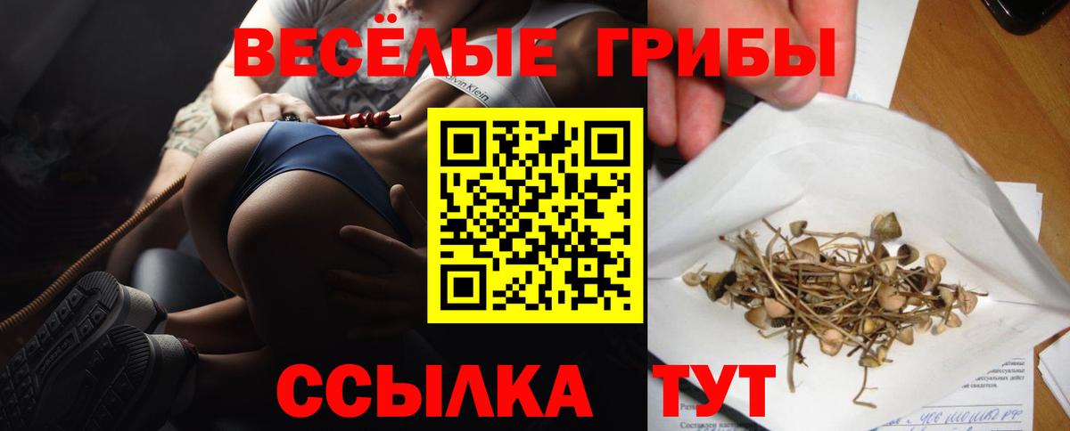 где продают   Вход с VPN  Вятские Поляны  Галлюциногенные грибы прущие грибы 